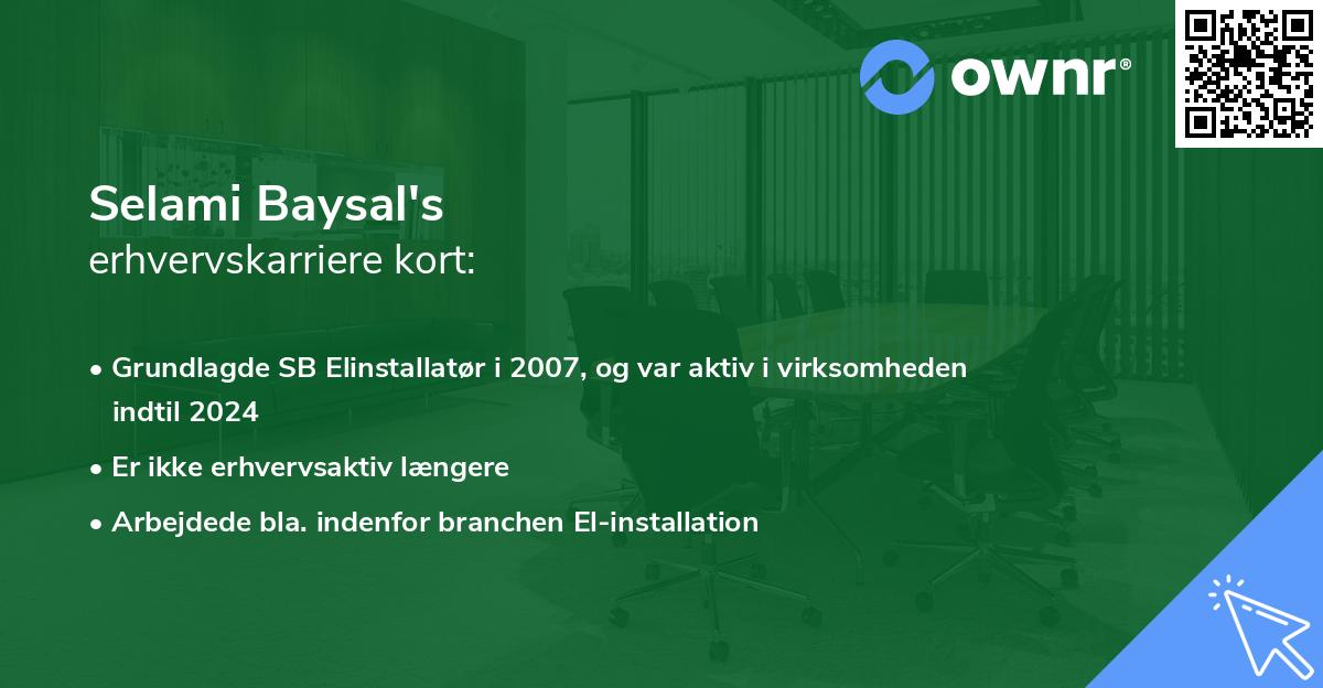 Selami Baysal's erhvervskarriere kort