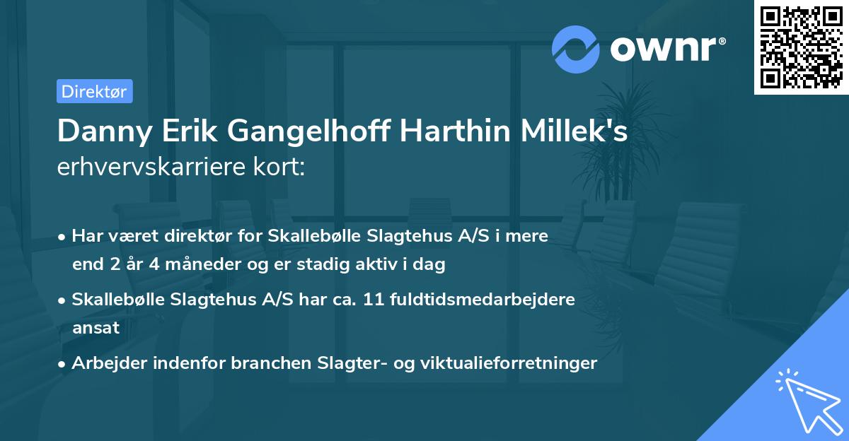 Danny Erik Gangelhoff Harthin Millek's erhvervskarriere kort