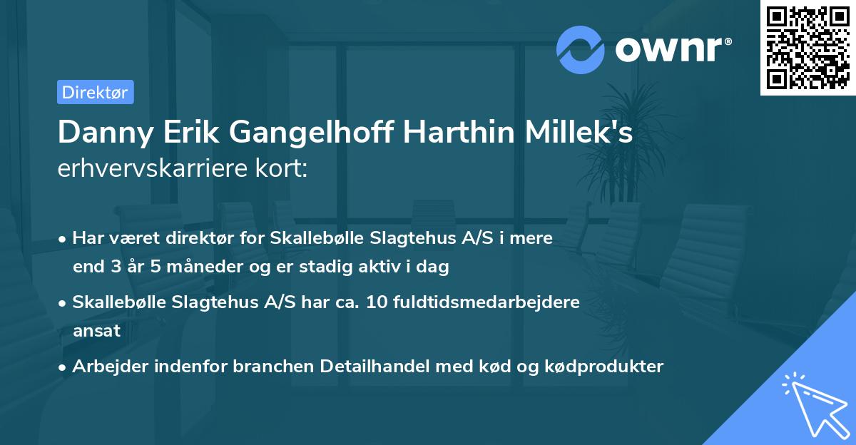 Danny Erik Gangelhoff Harthin Millek's erhvervskarriere kort