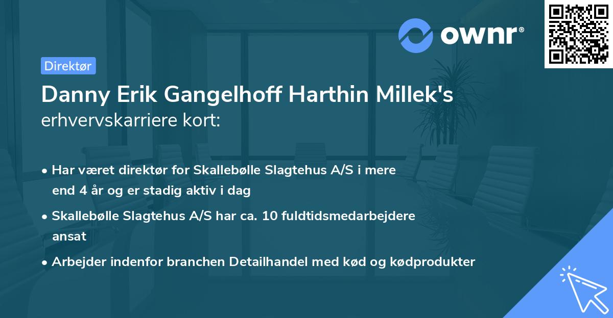 Danny Erik Gangelhoff Harthin Millek's erhvervskarriere kort