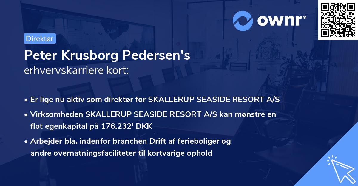 Peter Krusborg Pedersen's erhvervskarriere kort