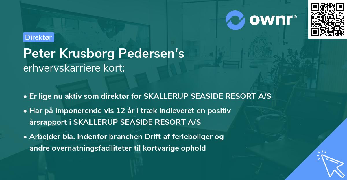 Peter Krusborg Pedersen's erhvervskarriere kort