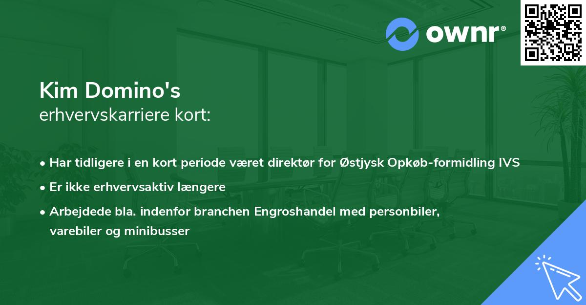 Kim Domino's erhvervskarriere kort