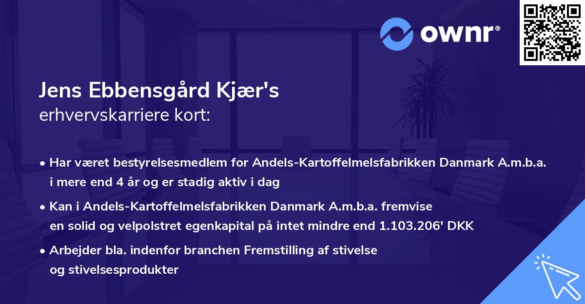 Jens Ebbensgård Kjær's erhvervskarriere kort