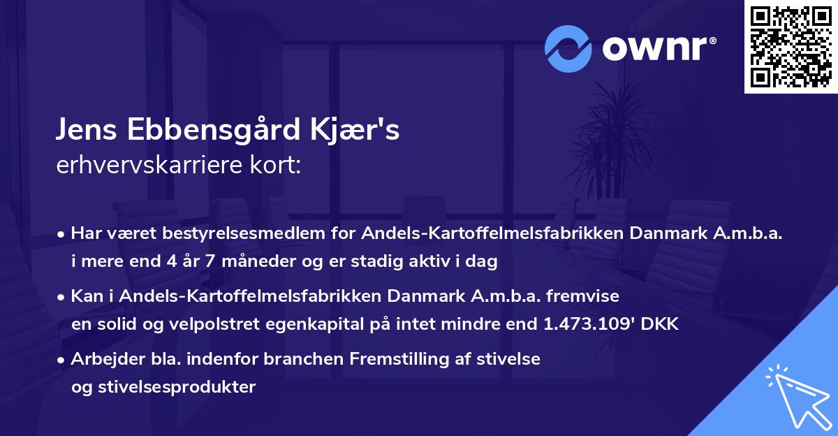 Jens Ebbensgård Kjær's erhvervskarriere kort