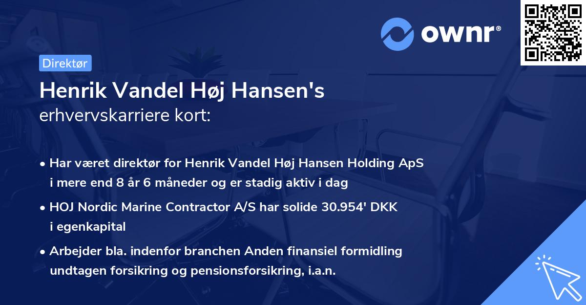 Henrik Vandel Høj Hansen's erhvervskarriere kort