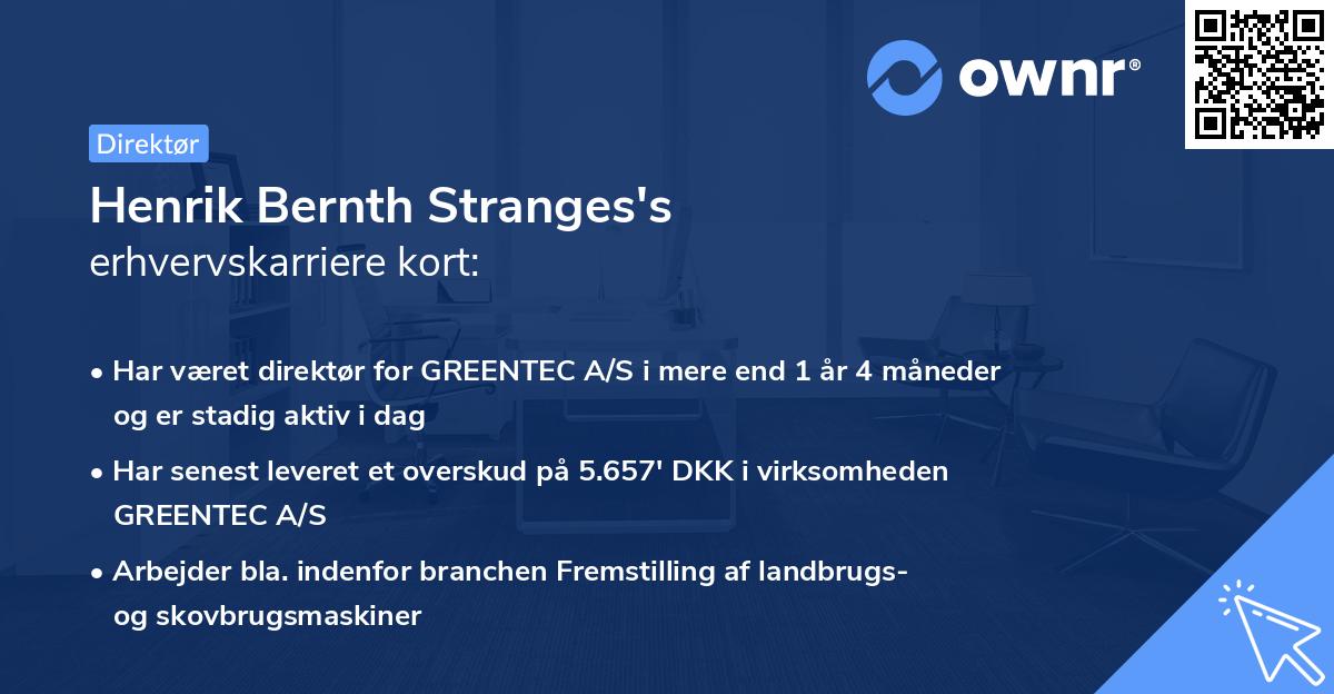 Henrik Bernth Stranges's erhvervskarriere kort