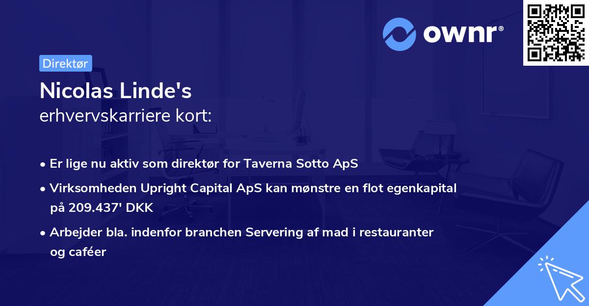 Nicolas Linde's erhvervskarriere kort