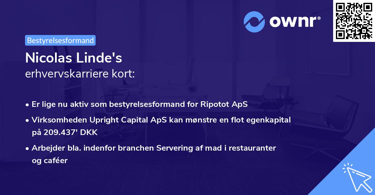 Nicolas Linde's erhvervskarriere kort