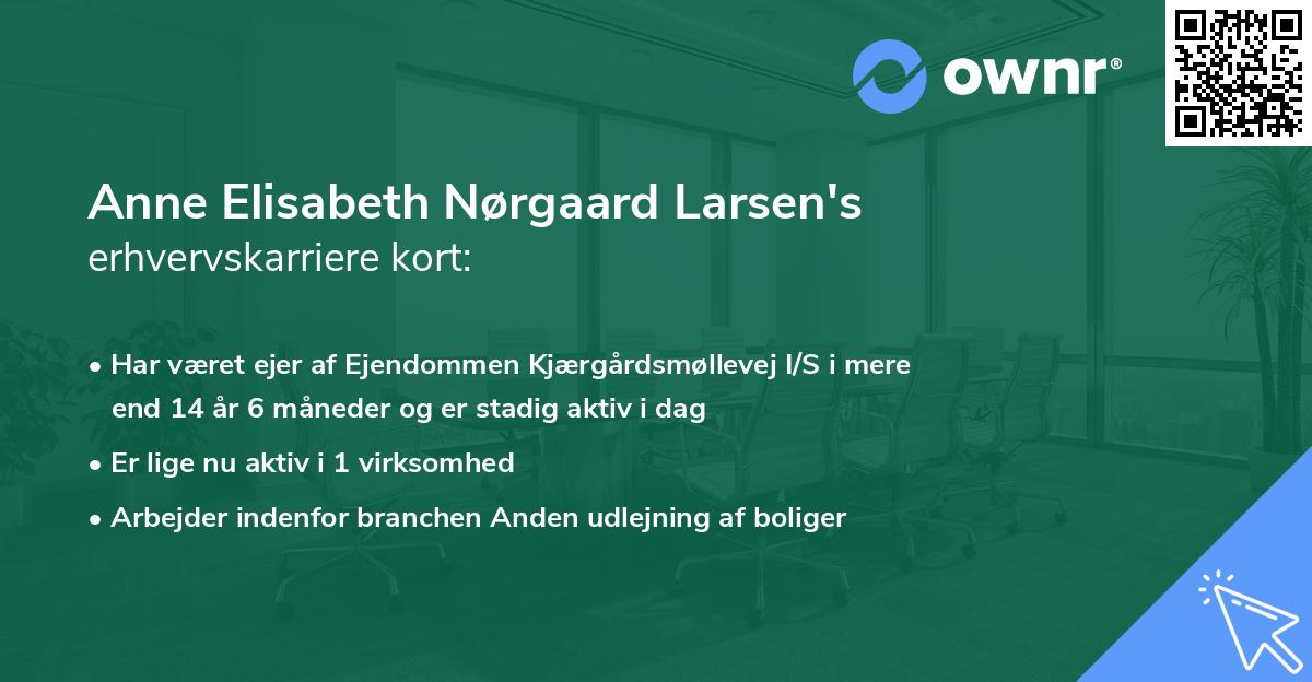 Anne Elisabeth Nørgaard Larsen's erhvervskarriere kort