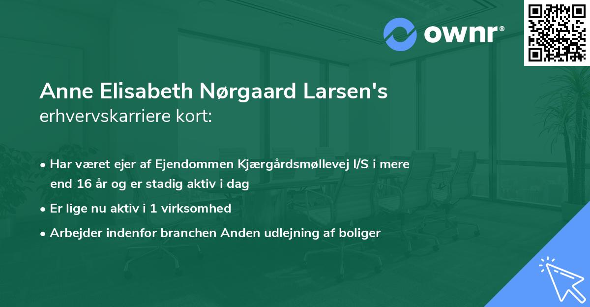 Anne Elisabeth Nørgaard Larsen's erhvervskarriere kort