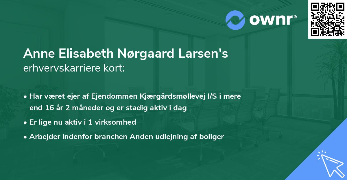 Anne Elisabeth Nørgaard Larsen's erhvervskarriere kort
