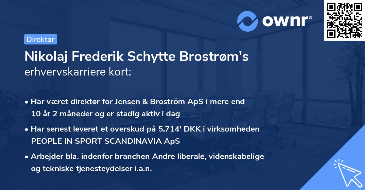 Nikolaj Frederik Schytte Brostrøm's erhvervskarriere kort