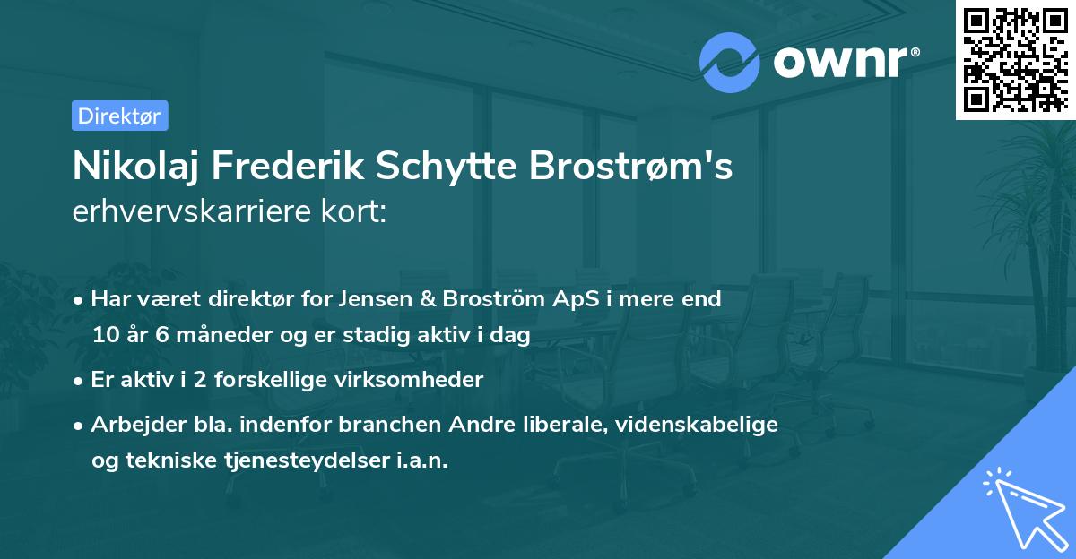 Nikolaj Frederik Schytte Brostrøm's erhvervskarriere kort