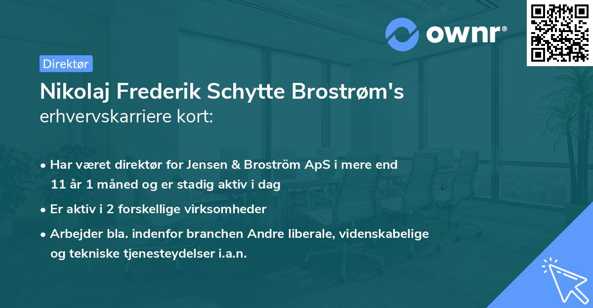 Nikolaj Frederik Schytte Brostrøm's erhvervskarriere kort