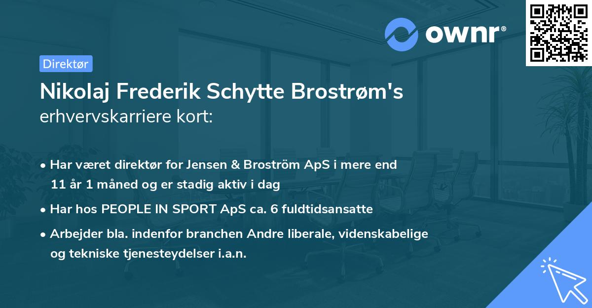 Nikolaj Frederik Schytte Brostrøm's erhvervskarriere kort