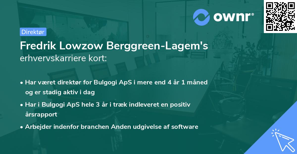 Fredrik Lowzow Berggreen-Lagem's erhvervskarriere kort