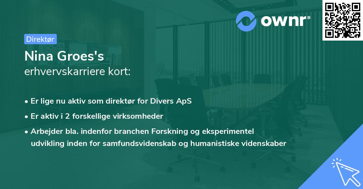 Nina Groes's erhvervskarriere kort
