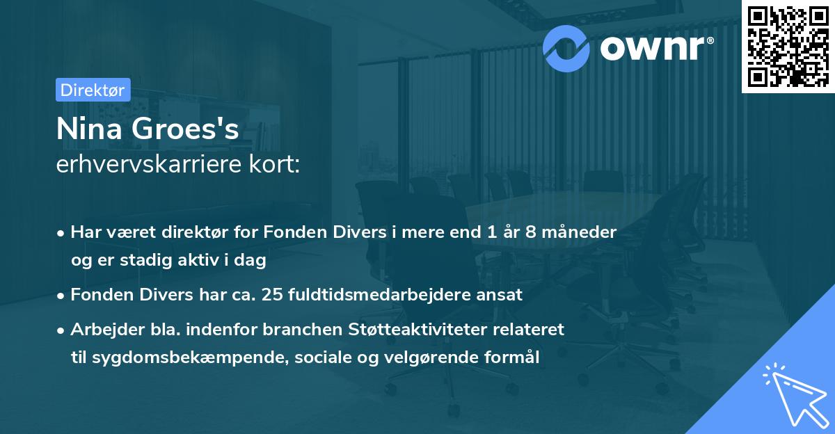 Nina Groes's erhvervskarriere kort