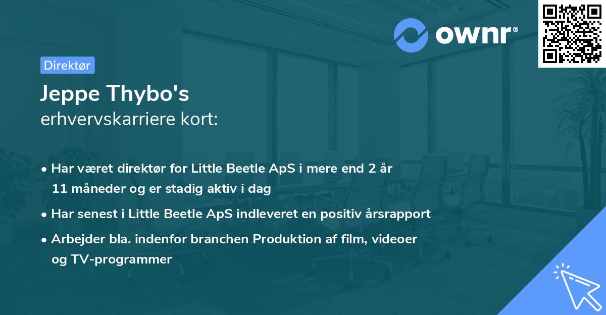 Jeppe Thybo's erhvervskarriere kort