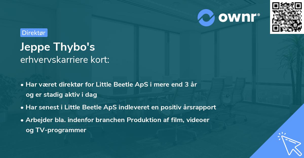 Jeppe Thybo's erhvervskarriere kort