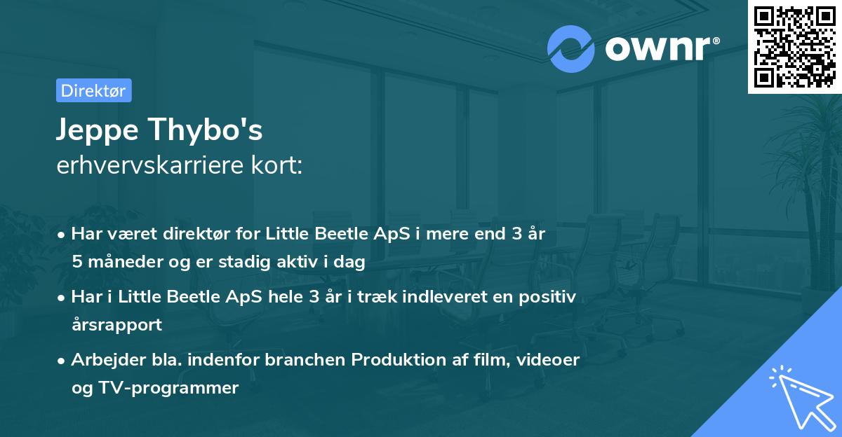 Jeppe Thybo's erhvervskarriere kort