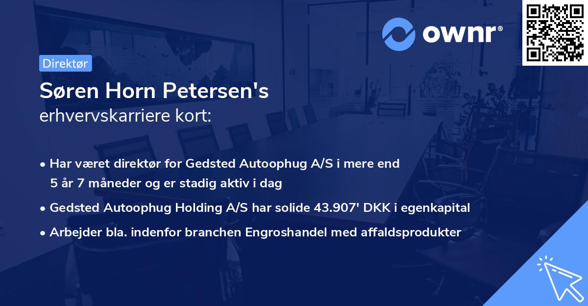 Søren Horn Petersen's erhvervskarriere kort