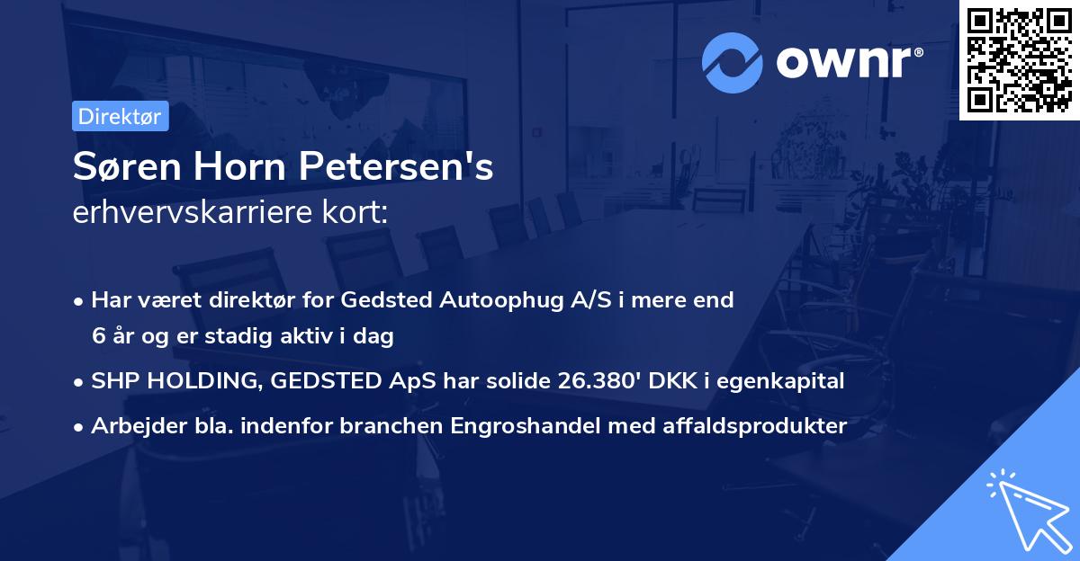 Søren Horn Petersen's erhvervskarriere kort