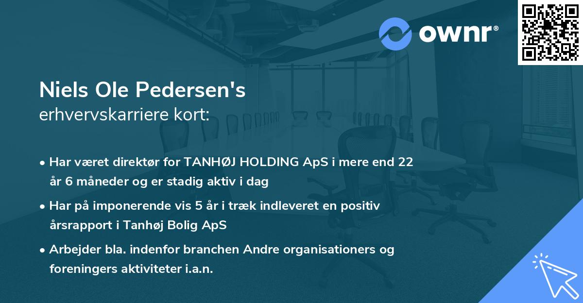 Niels Ole Pedersen's erhvervskarriere kort
