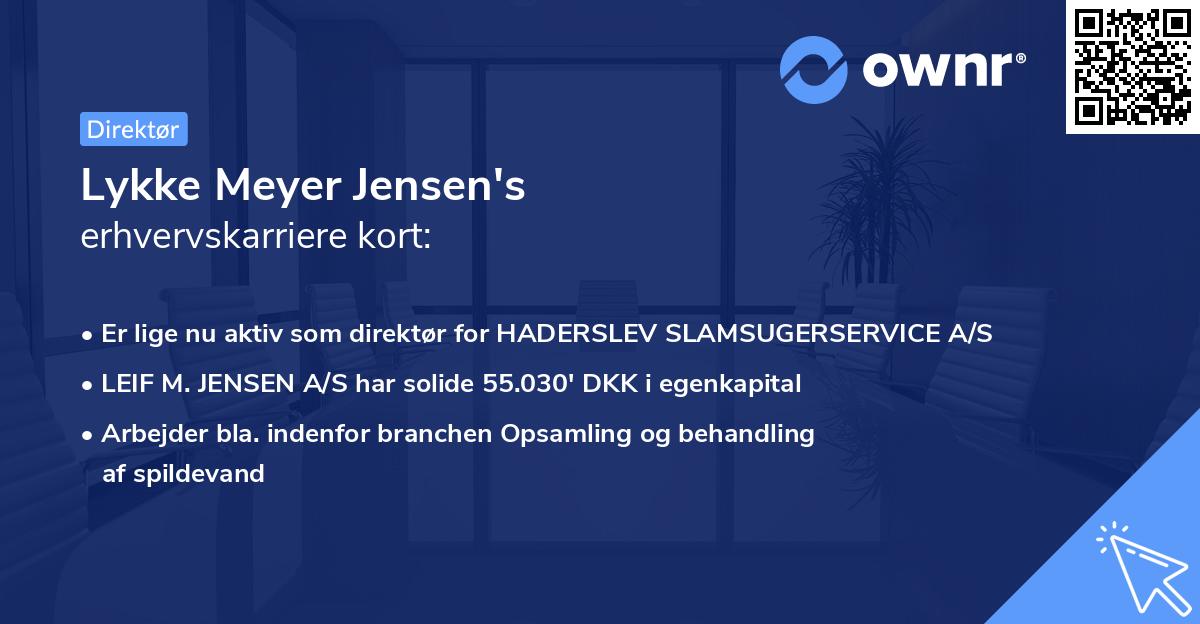 Lykke Meyer Jensen's erhvervskarriere kort