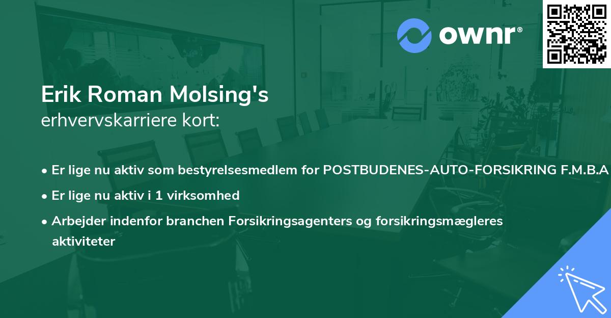 Erik Roman Molsing's erhvervskarriere kort