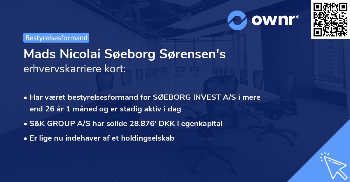 Mads Nicolai Søeborg Sørensen's erhvervskarriere kort