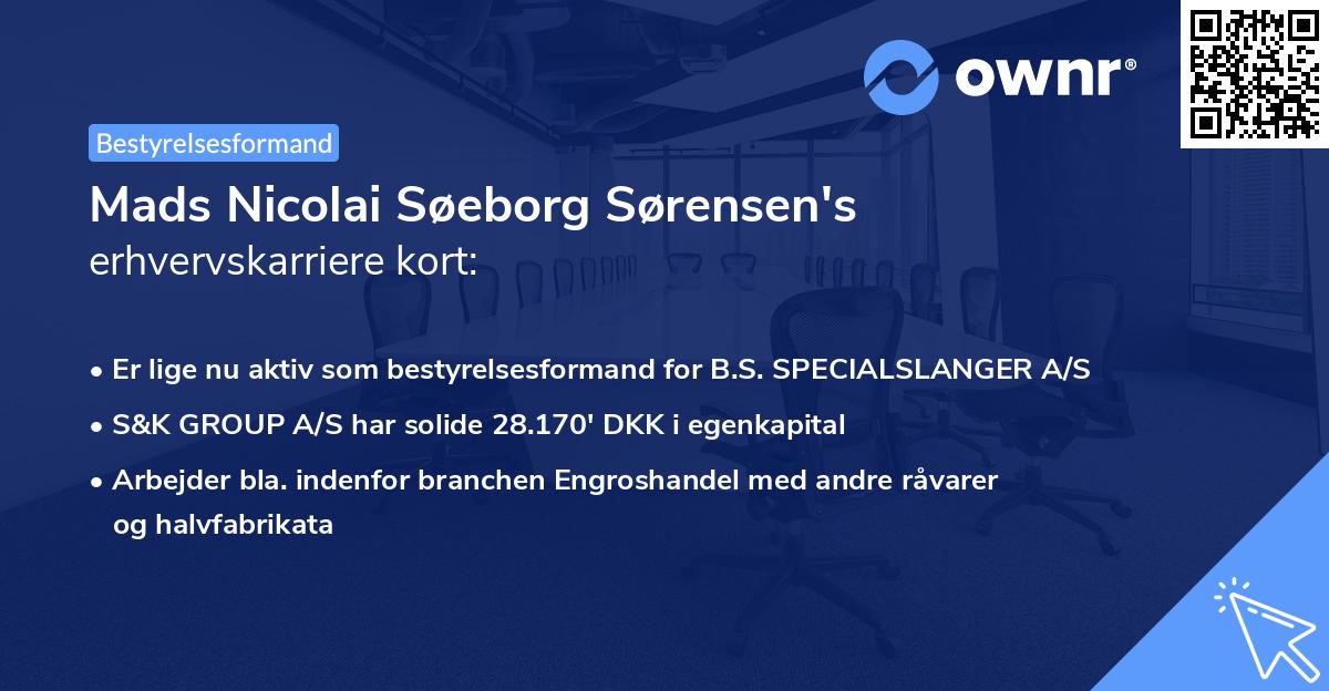 Mads Nicolai Søeborg Sørensen's erhvervskarriere kort