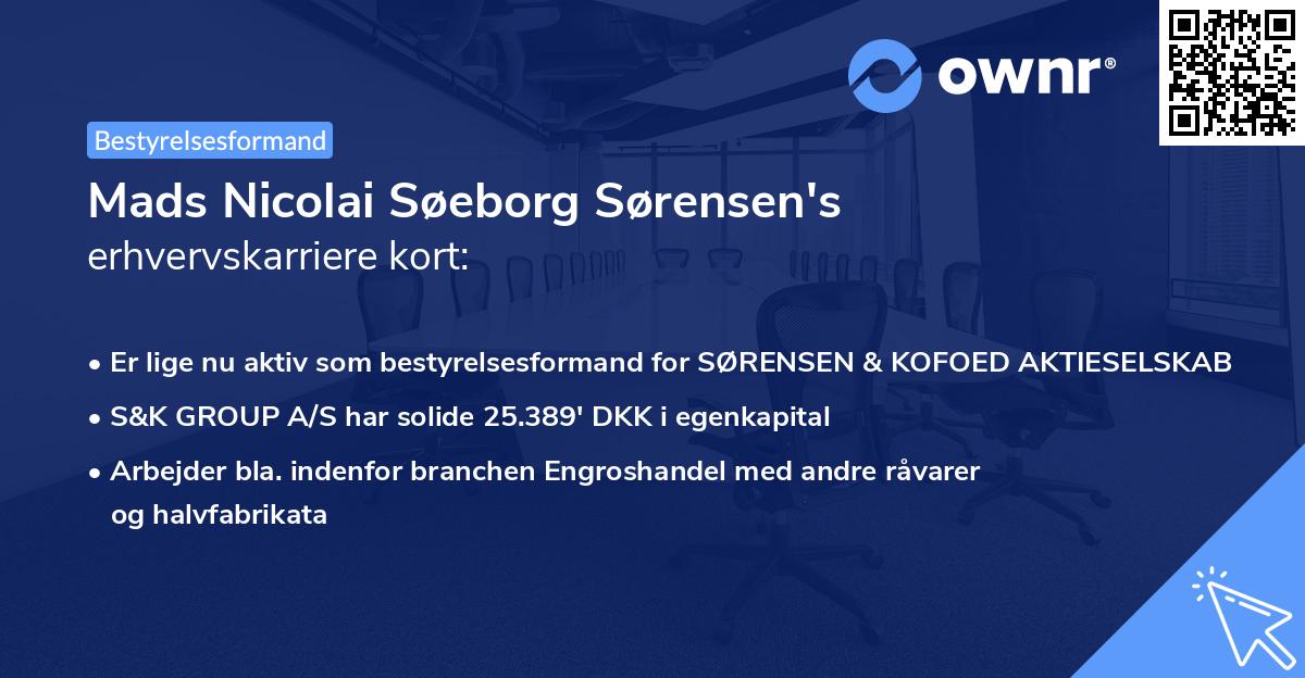 Mads Nicolai Søeborg Sørensen's erhvervskarriere kort