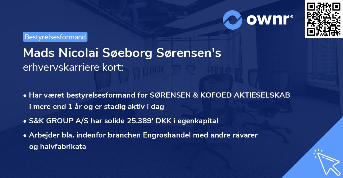 Mads Nicolai Søeborg Sørensen's erhvervskarriere kort