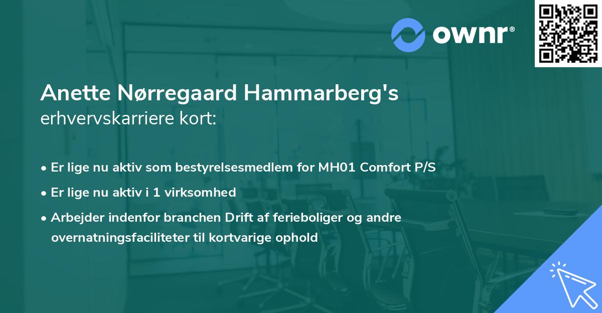 Anette Nørregaard Hammarberg's erhvervskarriere kort
