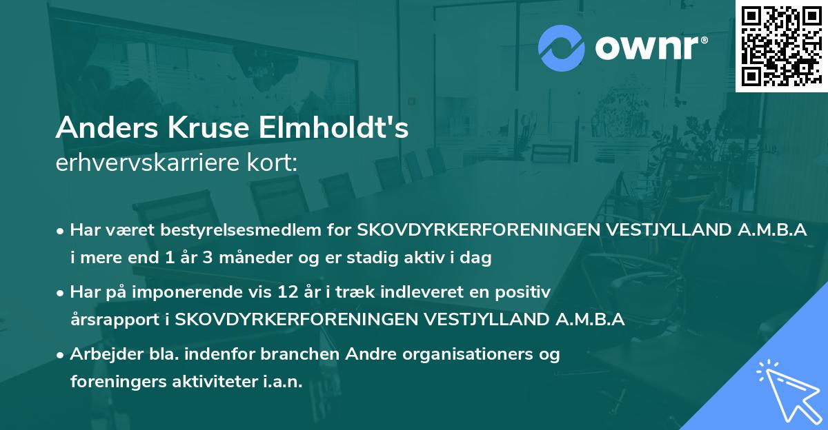 Anders Kruse Elmholdt's erhvervskarriere kort