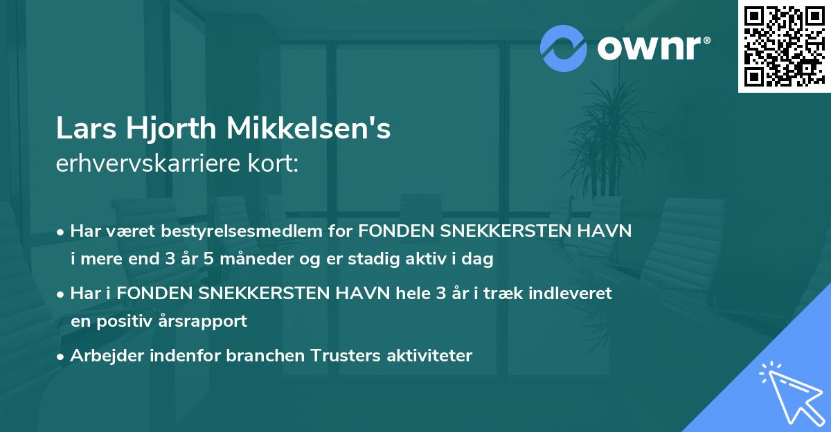 Lars Hjorth Mikkelsen's erhvervskarriere kort