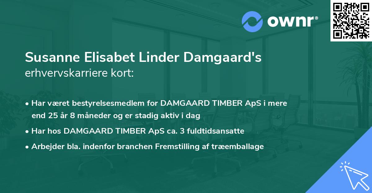 Susanne Elisabet Linder Damgaard's erhvervskarriere kort