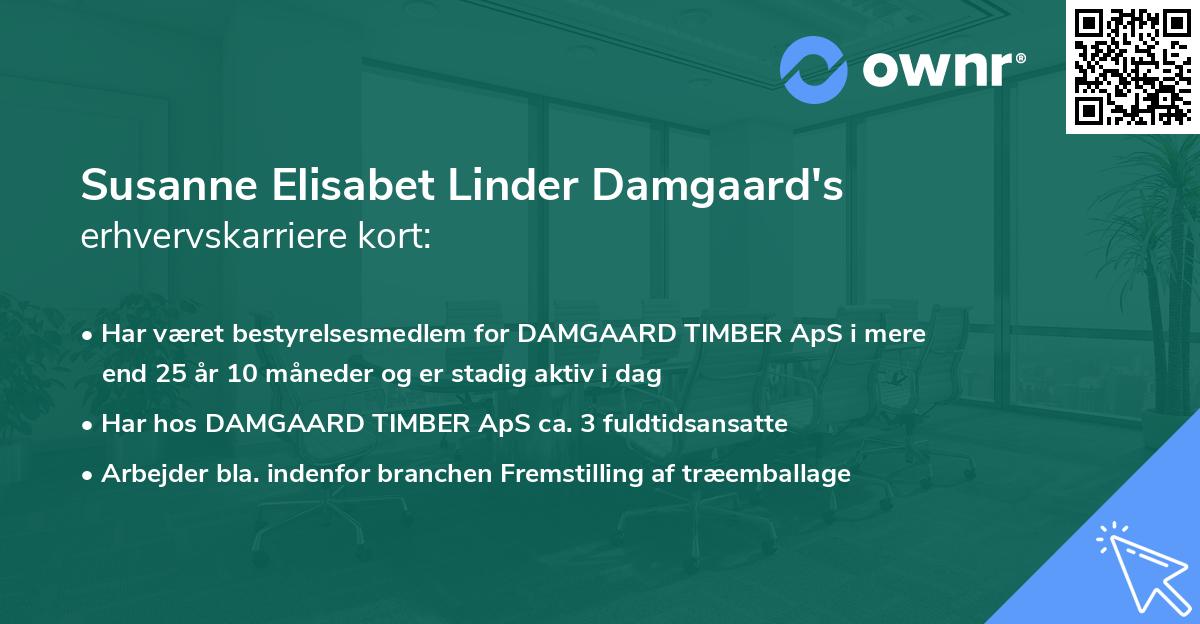 Susanne Elisabet Linder Damgaard's erhvervskarriere kort