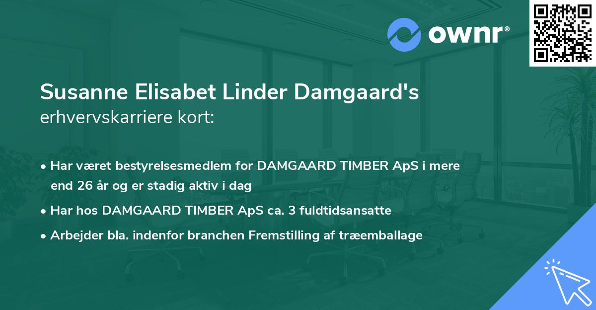 Susanne Elisabet Linder Damgaard's erhvervskarriere kort