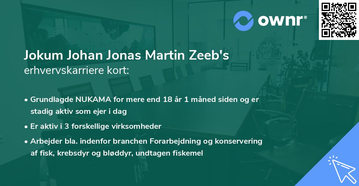 Jokum Johan Jonas Martin Zeeb's erhvervskarriere kort