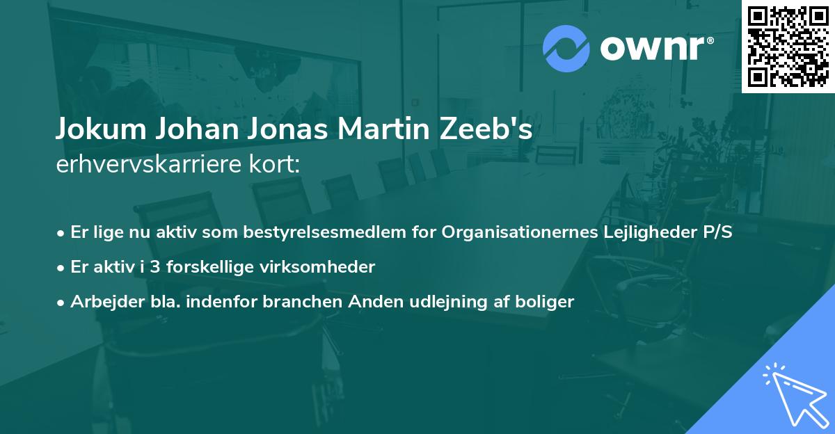 Jokum Johan Jonas Martin Zeeb's erhvervskarriere kort