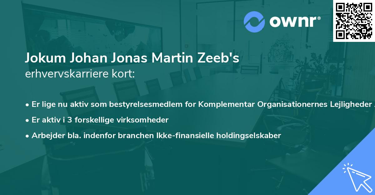 Jokum Johan Jonas Martin Zeeb's erhvervskarriere kort