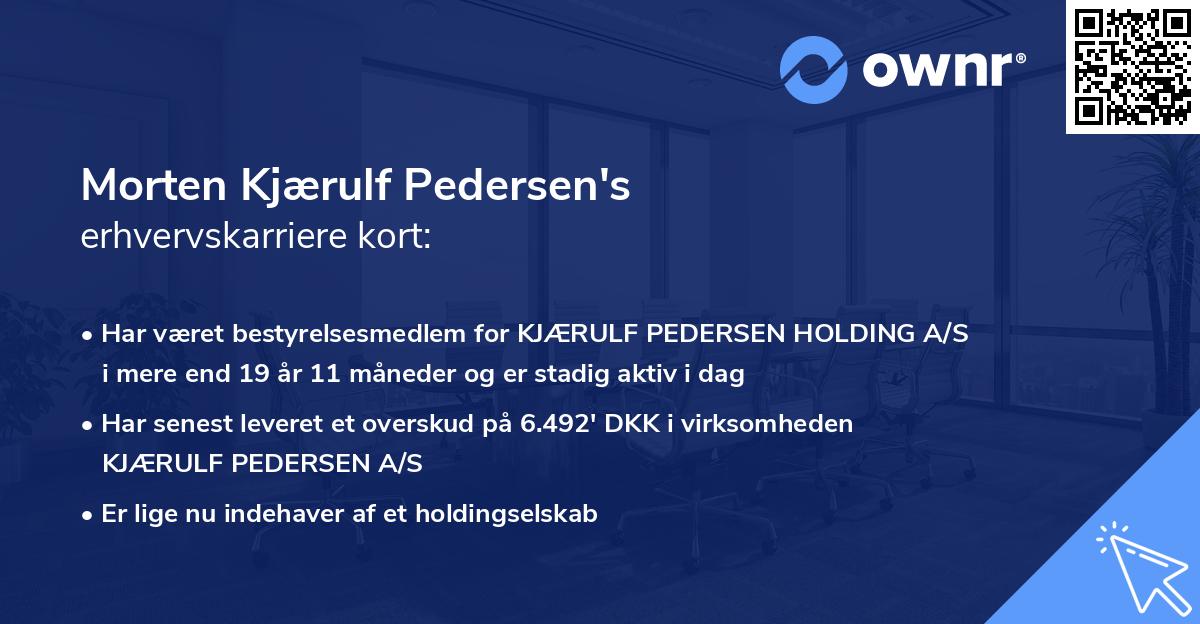 Morten Kjærulf Pedersen's erhvervskarriere kort