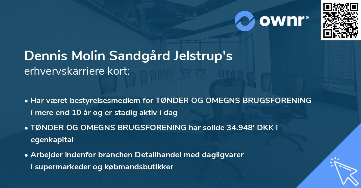 Dennis Molin Sandgård Jelstrup's erhvervskarriere kort