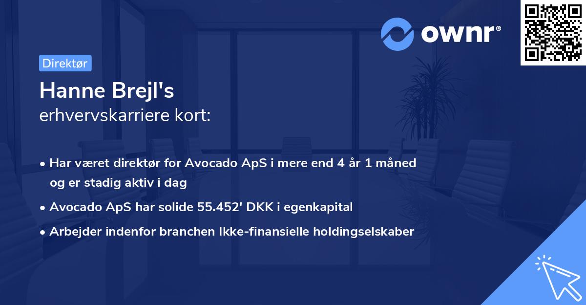 Hanne Brejl's erhvervskarriere kort