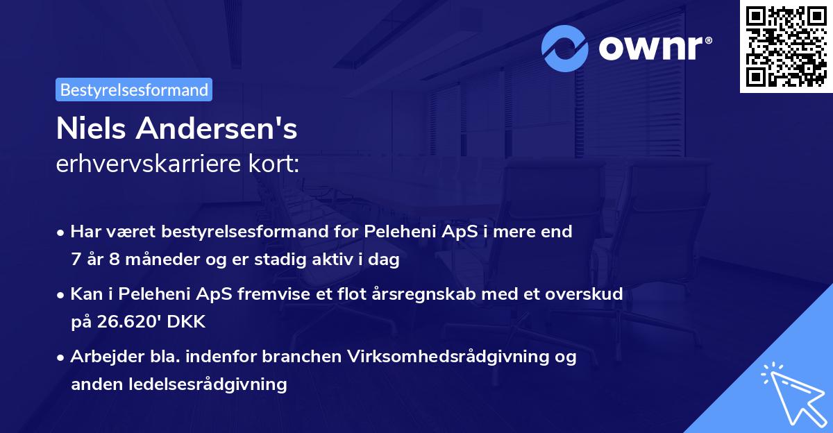 Niels Andersen's erhvervskarriere kort