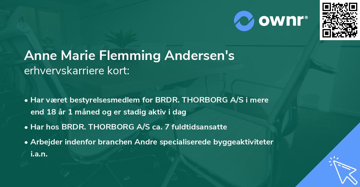 Anne Marie Flemming Andersen's erhvervskarriere kort