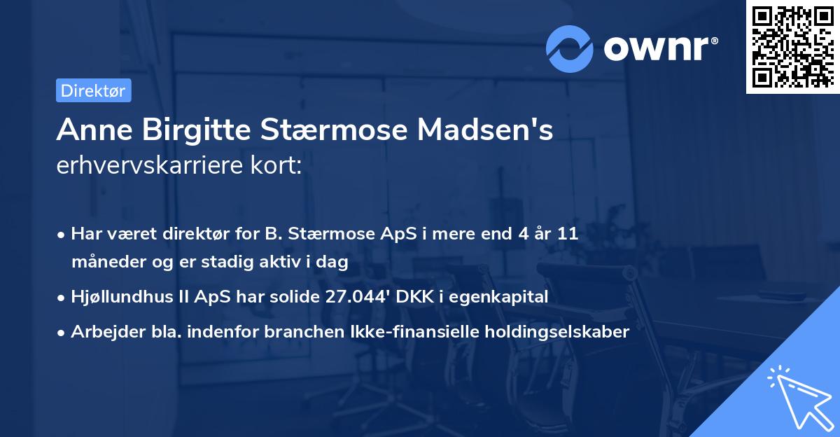 Anne Birgitte Stærmose Madsen's erhvervskarriere kort